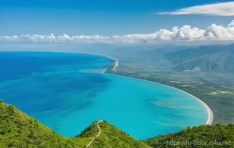 동티모르의 해양 생태계 - **Vibrant Coral Reef Ecosystem with Pyrosomes and Diverse Marine Life:**
    A wide-angle, highly de...